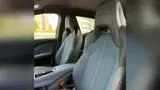 BYD Dolphin Mini - Miniatura 10