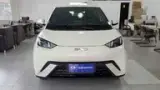 BYD Dolphin Mini - Miniatura 4