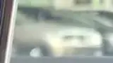BYD Dolphin Mini - Miniatura 11