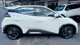 BYD Dolphin Mini - Miniatura 4