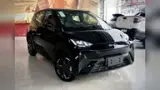 BYD Dolphin - Miniatura 1