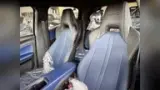 BYD Dolphin - Miniatura 15