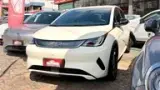BYD Dolphin - Miniatura 1