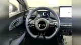 BYD Dolphin Mini - Miniatura 16