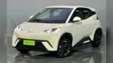 BYD Dolphin - Miniatura 1