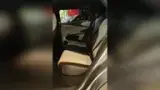 BYD Dolphin - Miniatura 9