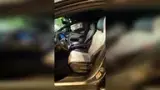 BYD Dolphin - Miniatura 13