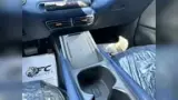 BYD Dolphin Mini - Miniatura 11