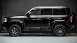 Denza B5 - Miniatura 4
