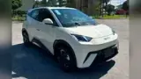 BYD Dolphin Mini - Miniatura 3