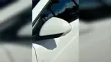 BYD Dolphin Mini - Miniatura 7