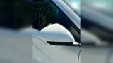 BYD Dolphin Mini - Miniatura 8