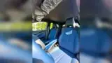 BYD Dolphin Mini - Miniatura 15