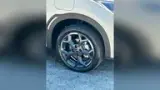 BYD Dolphin Mini - Miniatura 20