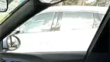 BYD Dolphin Mini - Miniatura 7