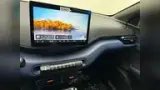 BYD Dolphin Mini - Miniatura 15