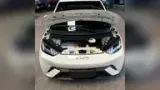 BYD Dolphin Mini - Miniatura 12
