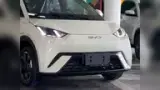 BYD Dolphin Mini - Miniatura 2