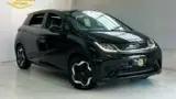 BYD Dolphin - Miniatura 1