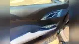 BYD Dolphin Mini - Miniatura 11