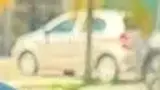 BYD Dolphin Mini - Miniatura 12