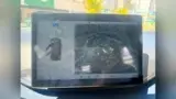BYD Dolphin Mini - Miniatura 14