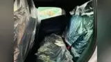 BYD Dolphin Mini - Miniatura 9