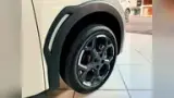 BYD Dolphin Mini - Miniatura 6