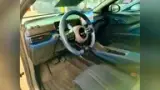 BYD Dolphin Mini - Miniatura 9