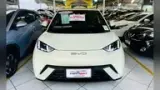 BYD Dolphin Mini - Miniatura 2