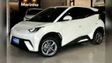 BYD Dolphin Mini - Miniatura 1