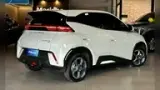 BYD Dolphin Mini - Miniatura 2
