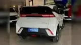 BYD Dolphin Mini - Miniatura 4
