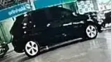 BYD Dolphin Mini - Miniatura 12
