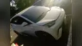 BYD Dolphin Mini - Miniatura 6