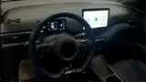 BYD Dolphin Mini - Miniatura 15