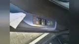 BYD Dolphin Mini - Miniatura 12