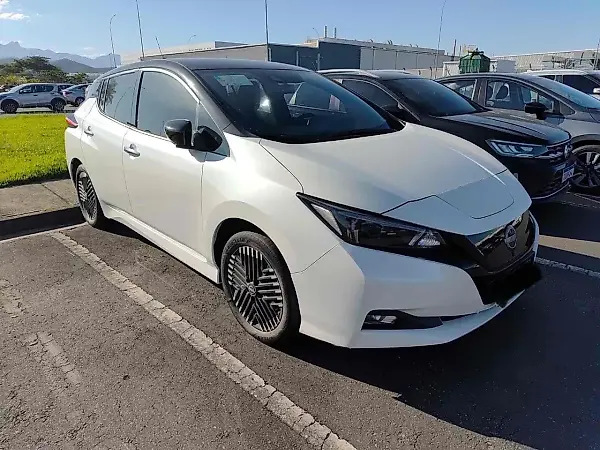 Nissan Leaf - Imagem 1