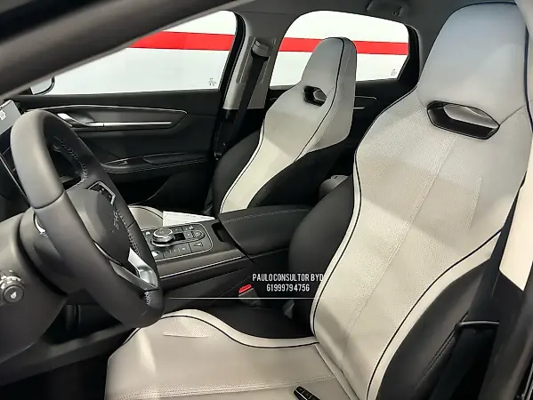 BYD King - Imagem 4