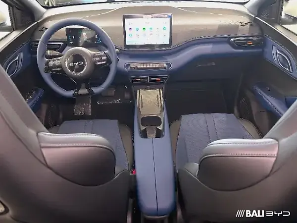 BYD Dolphin Mini - Imagem 6