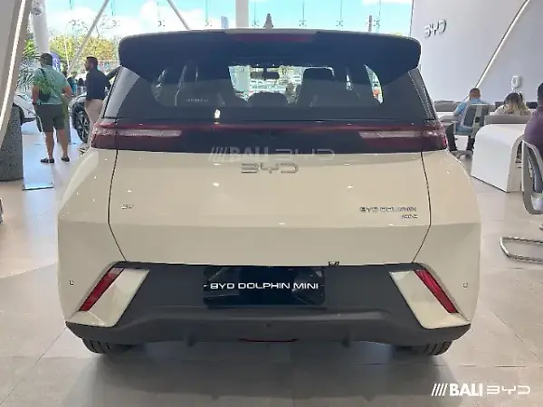 BYD Dolphin Mini - Imagem 2