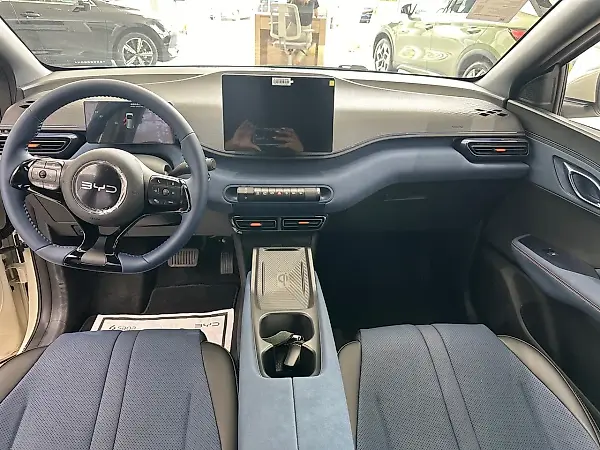 BYD Dolphin Mini - Imagem 13