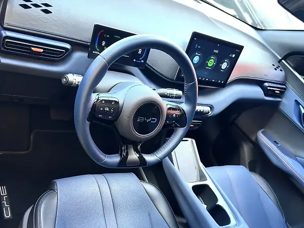 BYD Dolphin Mini - Imagem 14