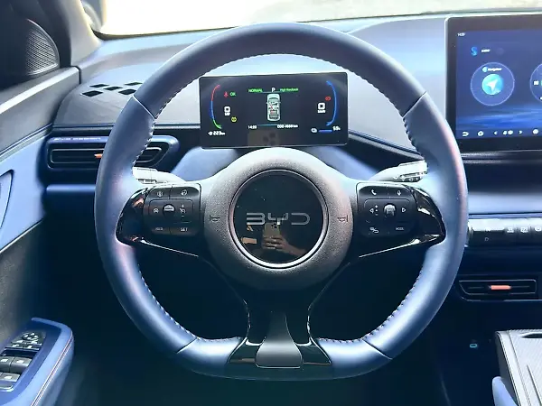 BYD Dolphin Mini - Imagem 15