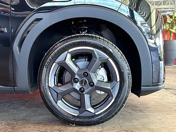 BYD Dolphin Mini - Imagem 20