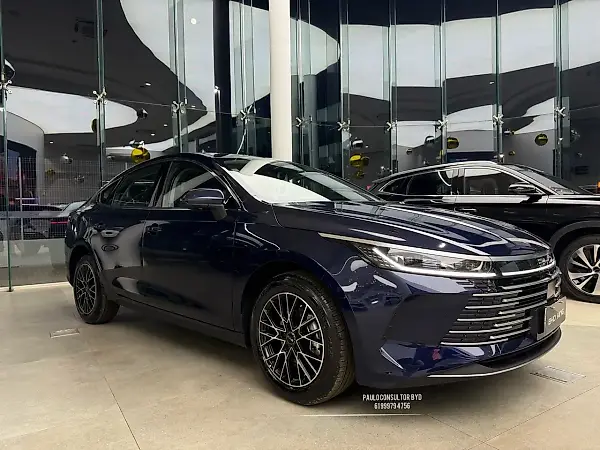 BYD King - Imagem 1
