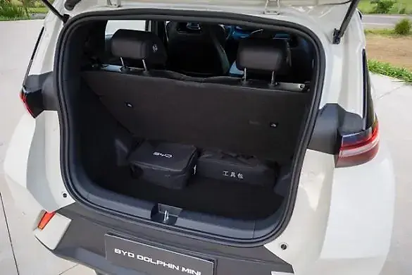 BYD Dolphin Mini - Imagem 2