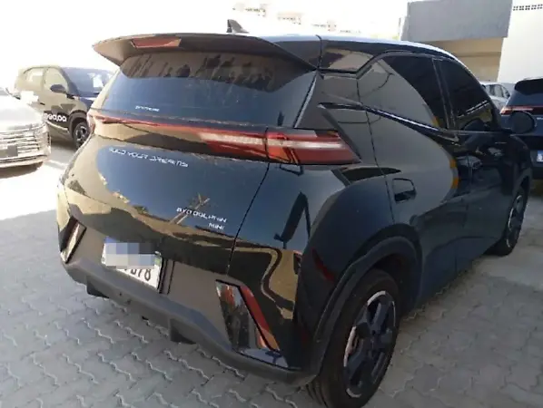 BYD Dolphin Mini - Imagem 2