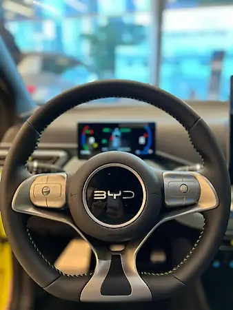 BYD Dolphin Mini - Imagem 6