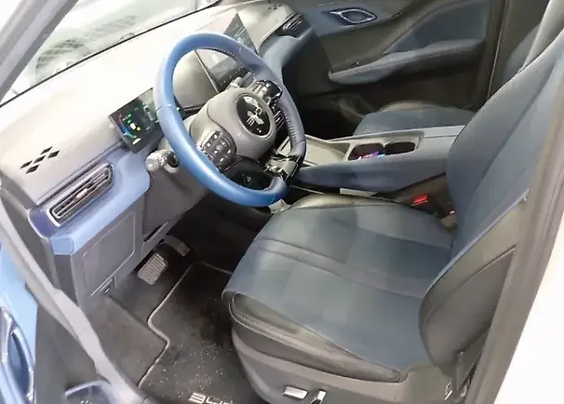 BYD Dolphin Mini - Imagem 6
